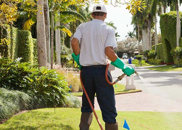 About Pleasant Valley VA Pest Control